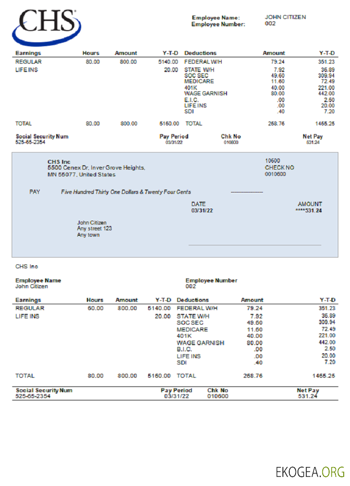 Entreprise agricole USA CHS Inc.